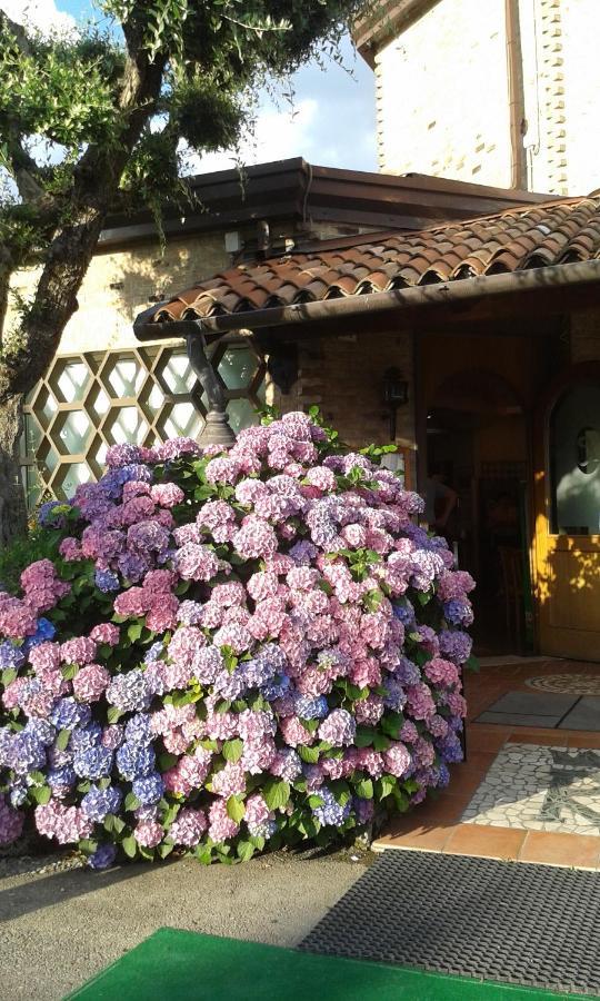 Hotel Regina Campolongo Maggiore 外观 照片